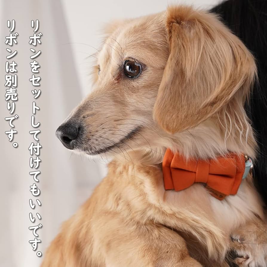 犬 首輪 cune 楽天市場】【 a-cube 】天然仔牛皮革 Hi-LINE 犬用首輪 13色 XXS